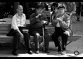 /album/fotogaleria/a7198254618-f669208acc-z-jpg/